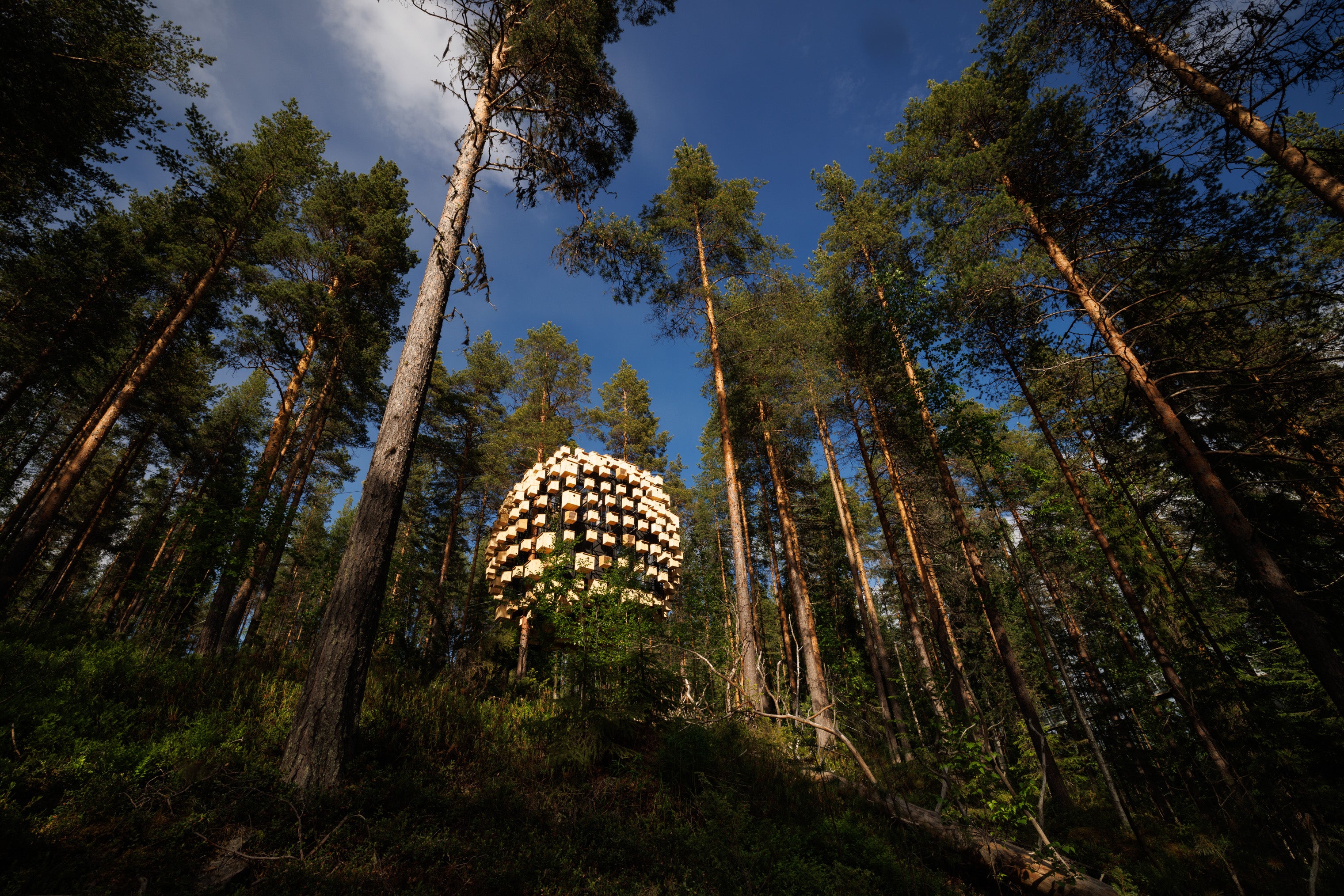 The architecture encourages guests to the feed birds