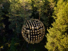 A bird’s life: Welcome to Biosphere, the Swedish treehouse hotel that immerses guests in an avian world