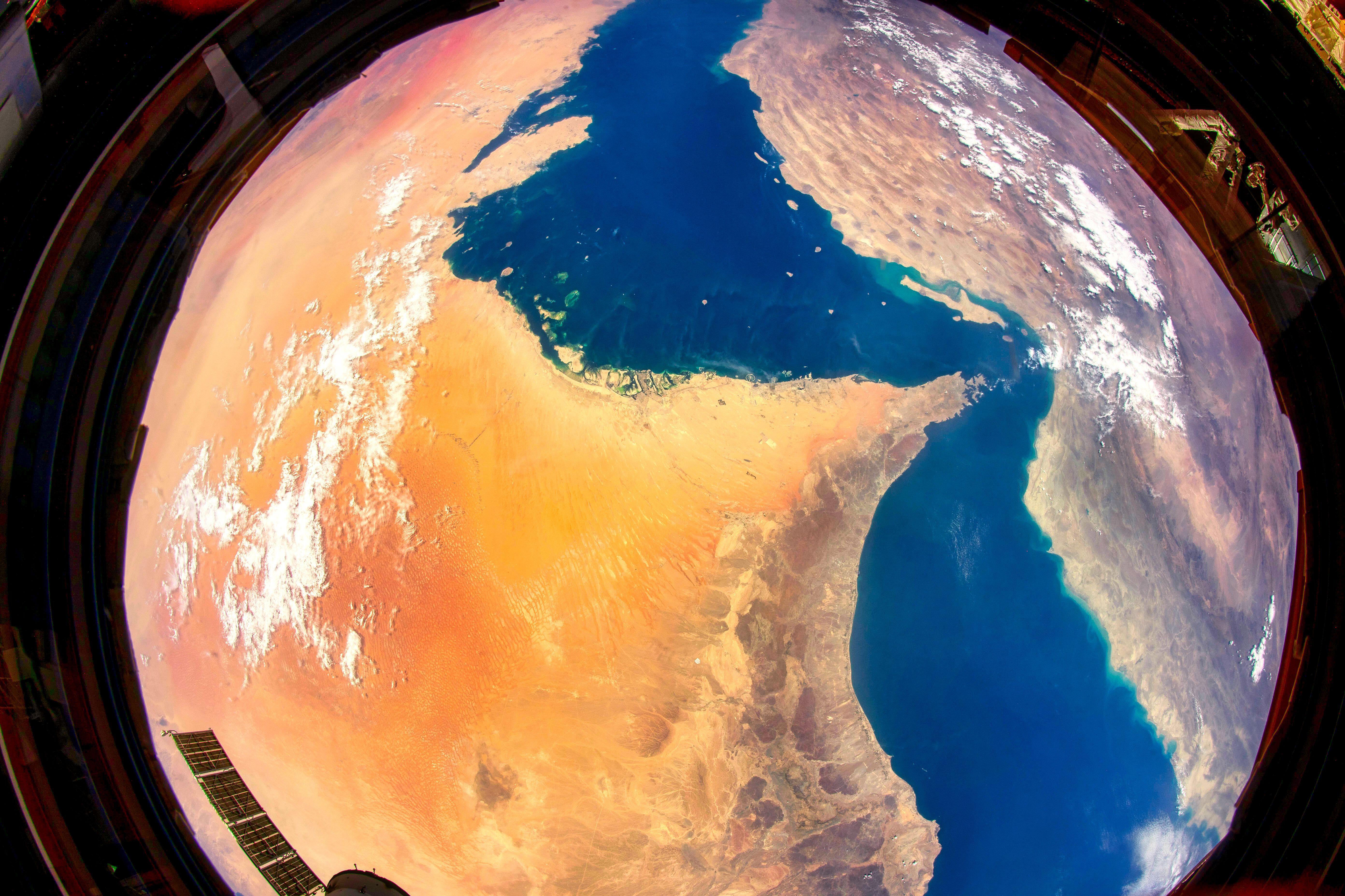 Colour shift: the Arabian gulf desert now. To come – 100 billion trees