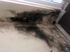 Distraught mother says son ‘struggling to breathe’ in mould-ridden council flat