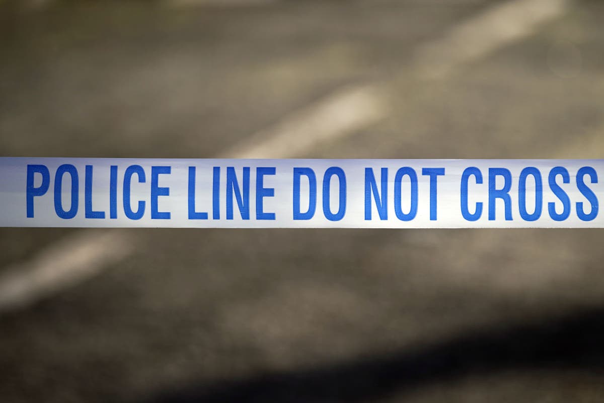 Two men arrested in Ilford double murder investigation