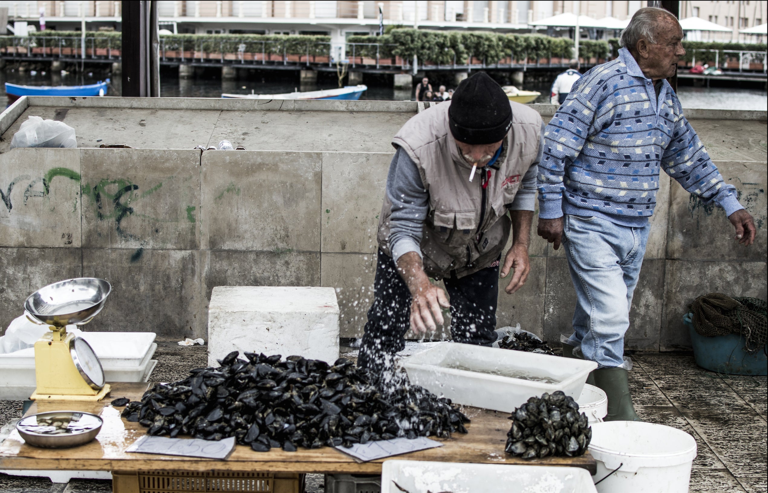 Mussels at the fish market
