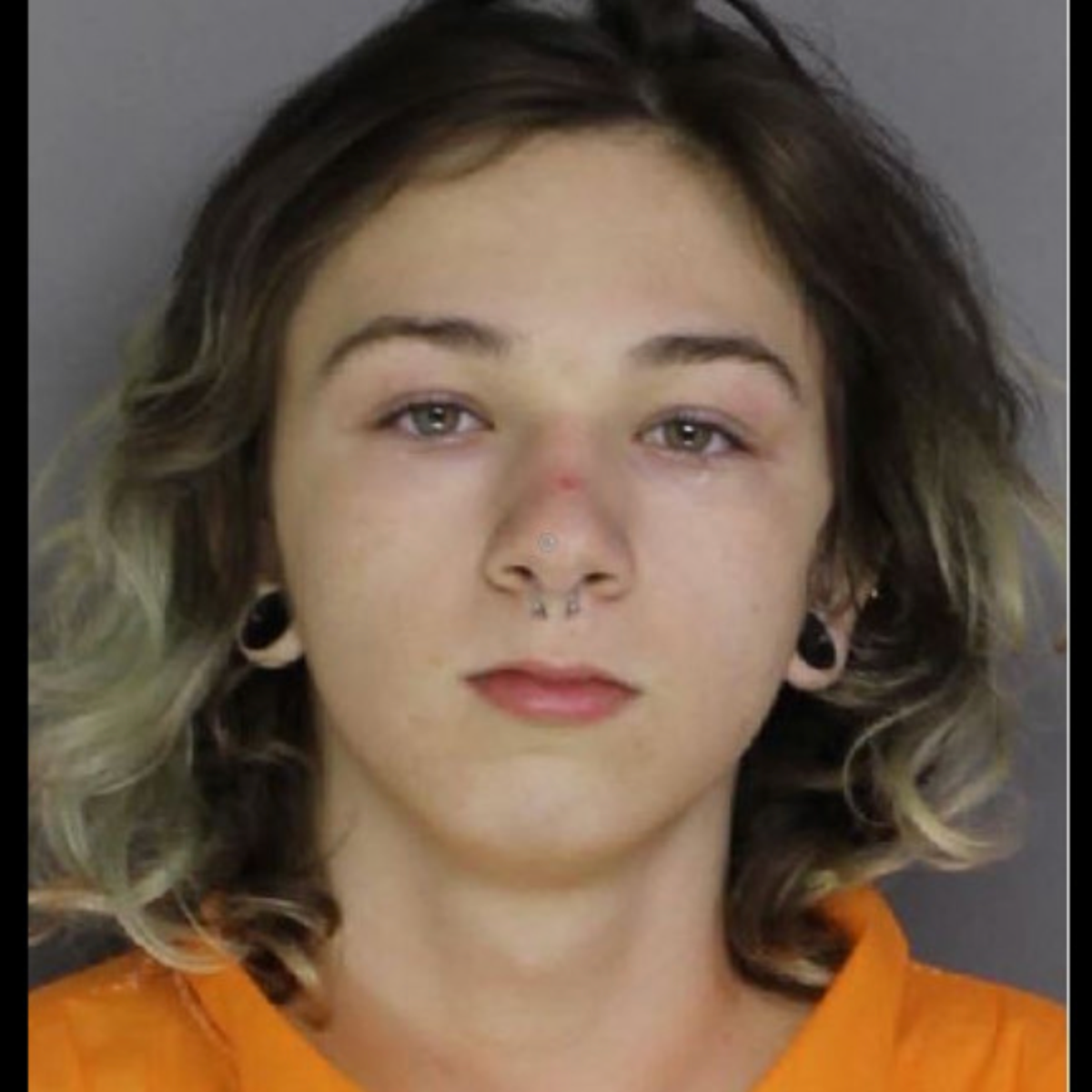 Pa. teen pleads guilty to killing 12-year-old girl, showing body on video chat Pa. teen pleads guilty to killing 12-year-old girl, showing body on video chat