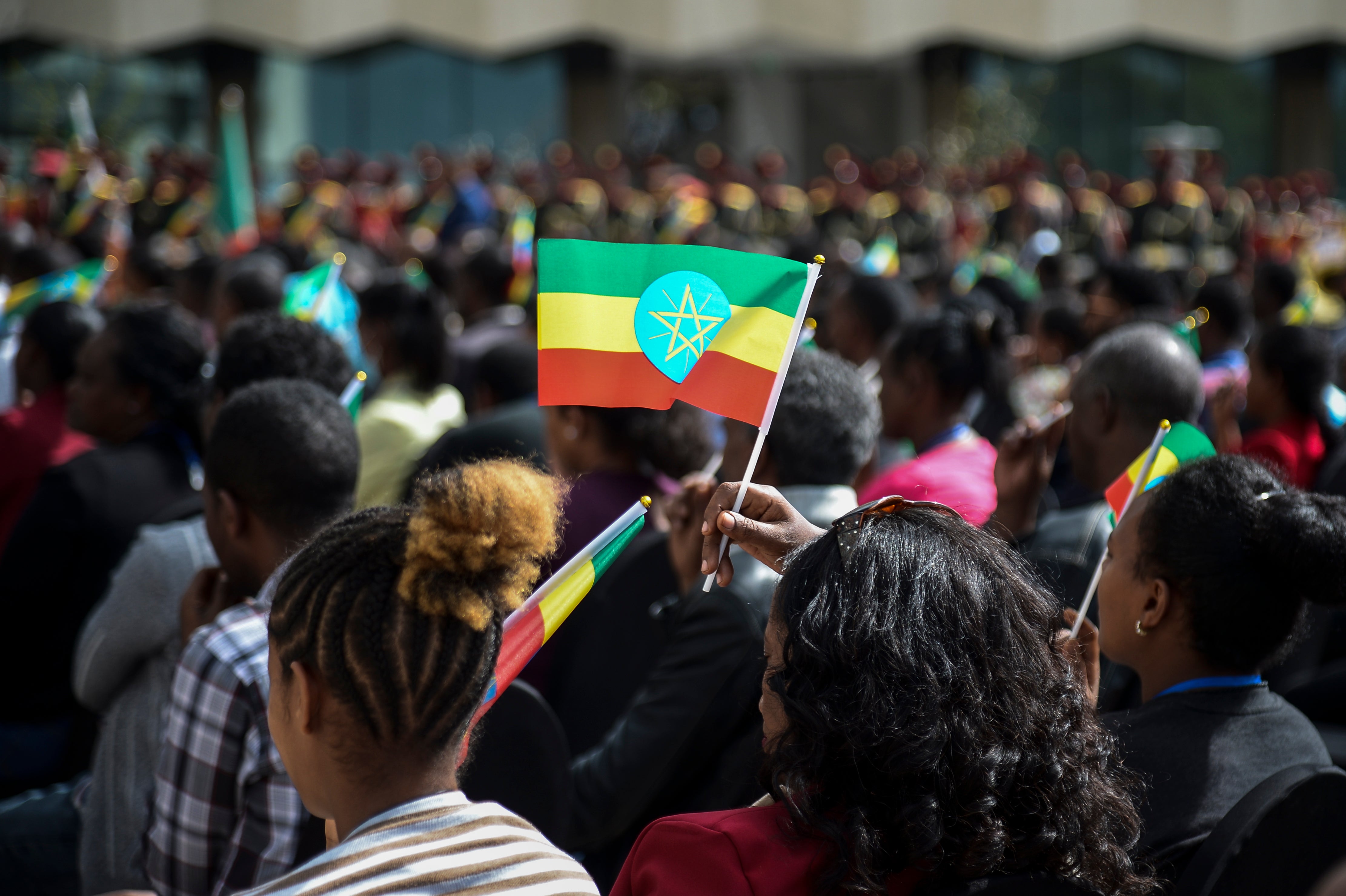 Ethiopia Tigray Crisis