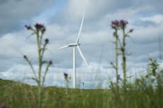 Households could pay £800m more for energy this winter because of onshore wind farm ban