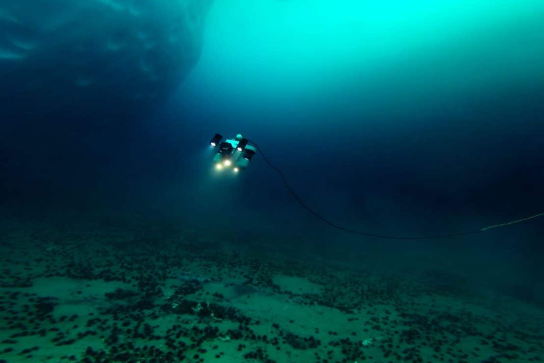 A remotely operated vehicle (ROV) was used to find seaweed in the waters of Antarctica (University of Aberdeen/PA)