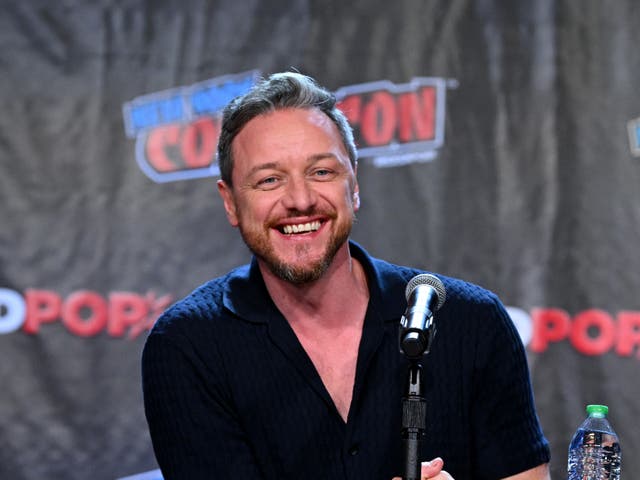 <p>James McAvoy</p>