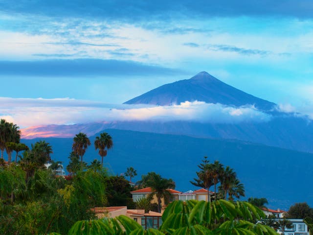 <p>British citizens are only allowed to stay in the Schengen Area for a limited time </p>