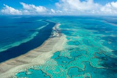 UN: Great Barrier Reef should be on heritage 'danger' list