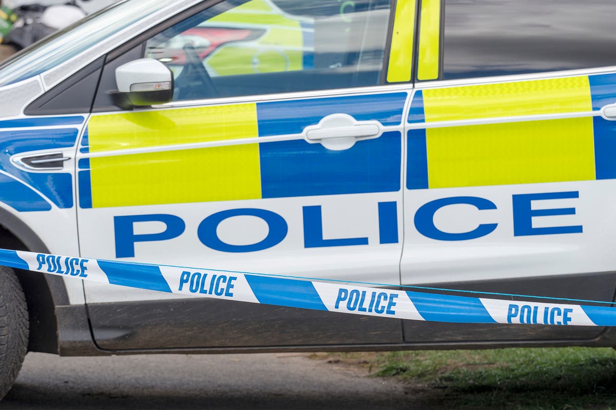 Man arrested after pensioner killed in Exeter park