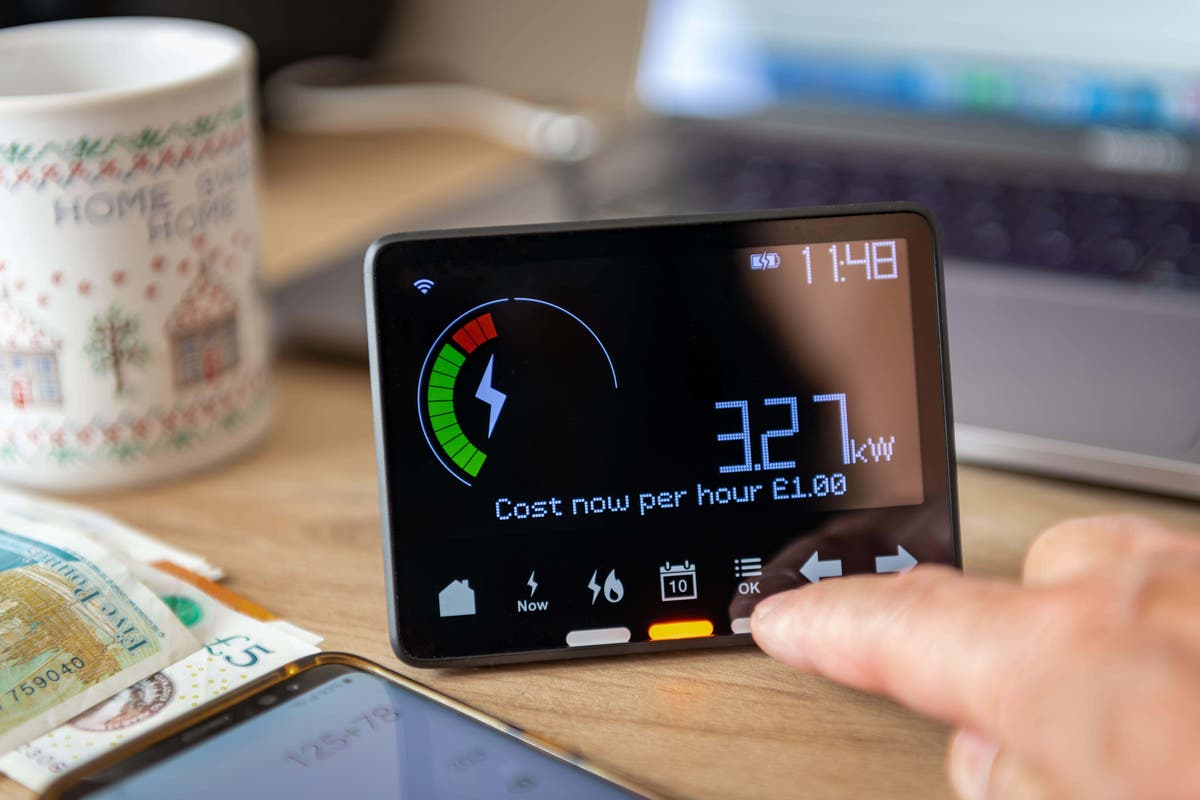 Ovo joins scheme to pay customers to cut their energy usage | The ...