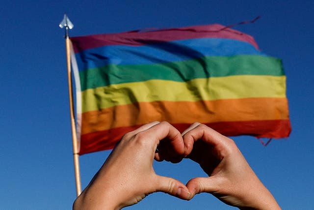 <p>Pride flag</p>