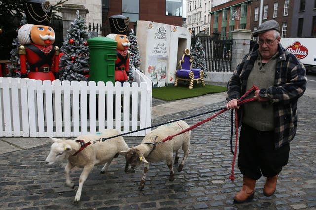 Dublin’s live animal crib is to return this year but in a new location (PA)