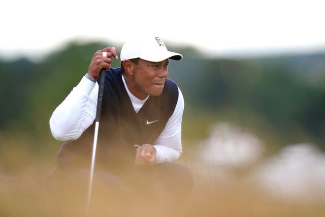 Tiger Woods has joined Rory McIlroy in calling for LIV Golf CEO Greg Norman to step down (Jane Barlow/PA)