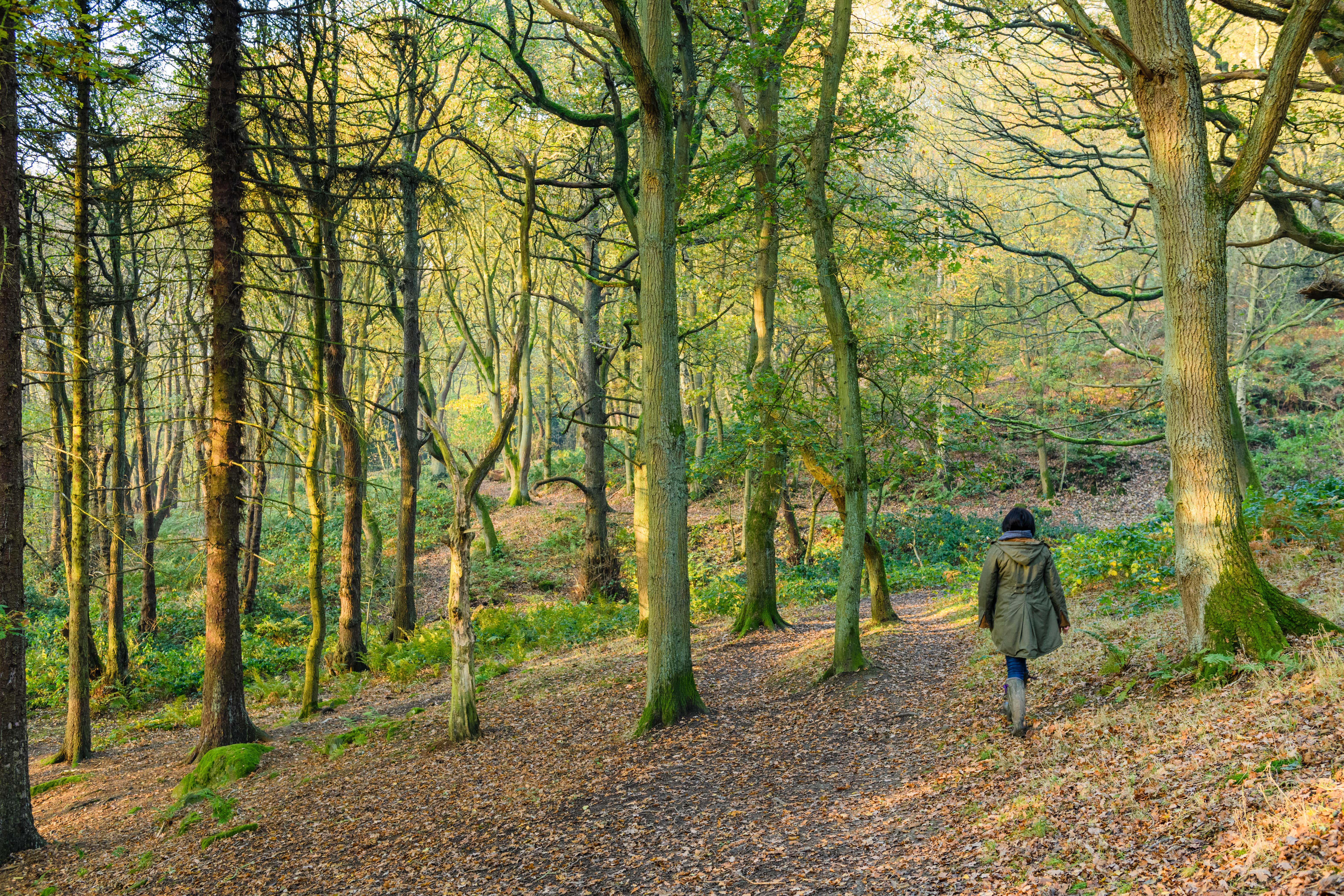 Walking charity the Ramblers wants the Government to expand the Countryside and Rights of Way Act (Alamy/PA)