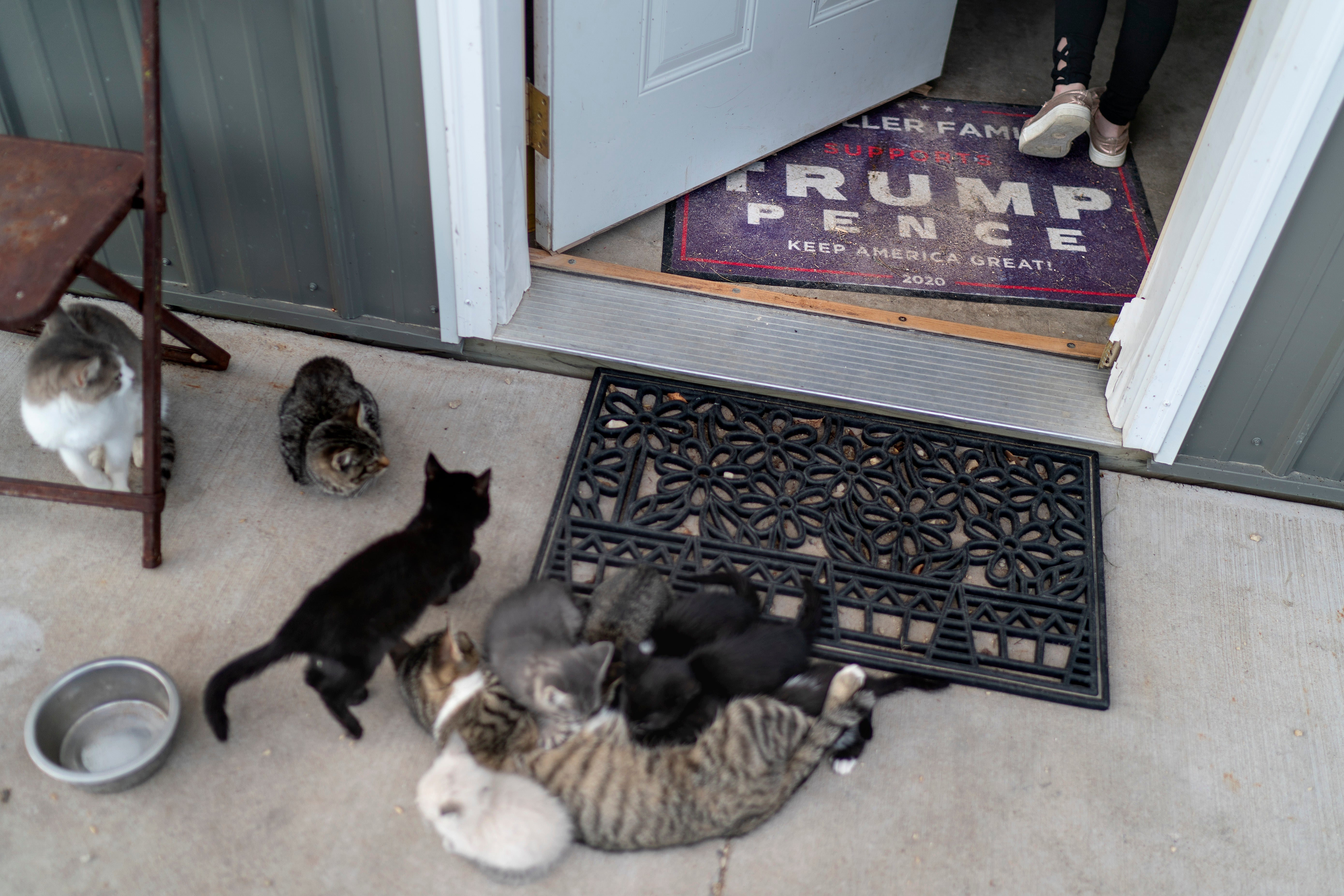 US Midterms A Dangerous America