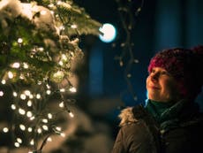 Martin Lewis answers concerns over cost of keeping Christmas tree lights on