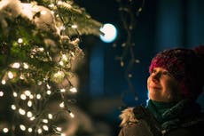 Martin Lewis answers concerns over cost of keeping Christmas tree lights on