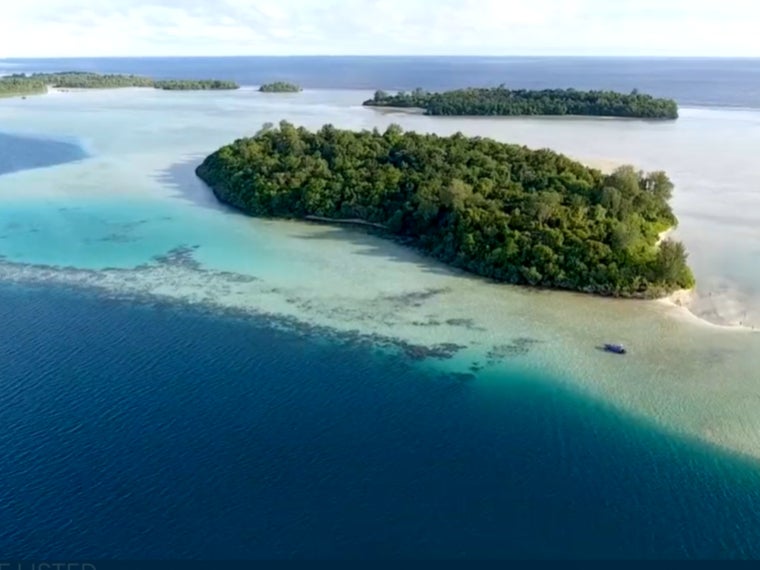 The Widi Reserve, an Indonesian archipelago of over 100 islands, is going to be auctioned
