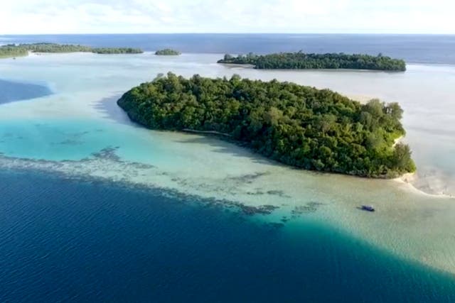 <p>The Widi Reserve, an Indonesian archipelago of over 100 islands, is going to be auctioned</p>