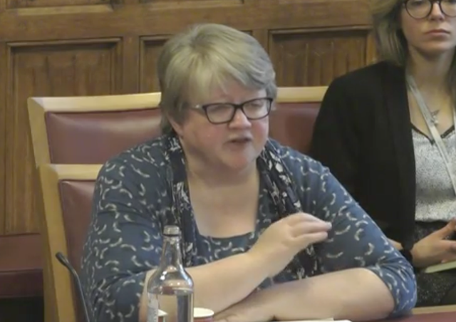 <p>Therese Coffey appearing at the environment committee</p>