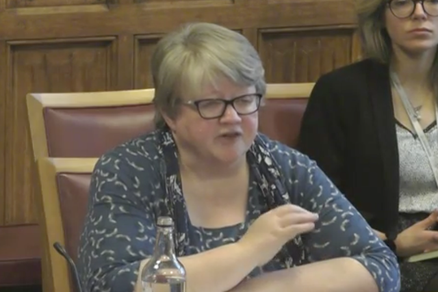 <p>Therese Coffey appearing at the environment committee</p>