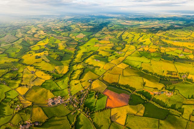 <p>Farmland in Wales – agricultural sprawl has robbed the UK of its natural habitats, leaving the country one of the world’s most nature depleted places</p>