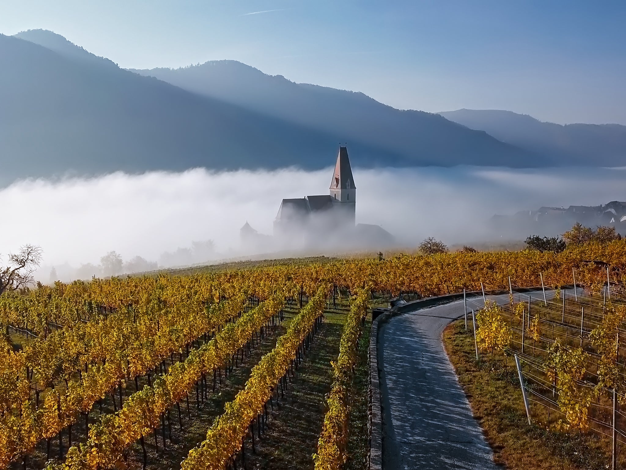 The Wachau valley is home to some of the oldest natural wine producers in the country