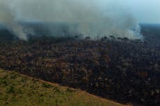 Amazon deforestation in Brazil remains near 15-year high