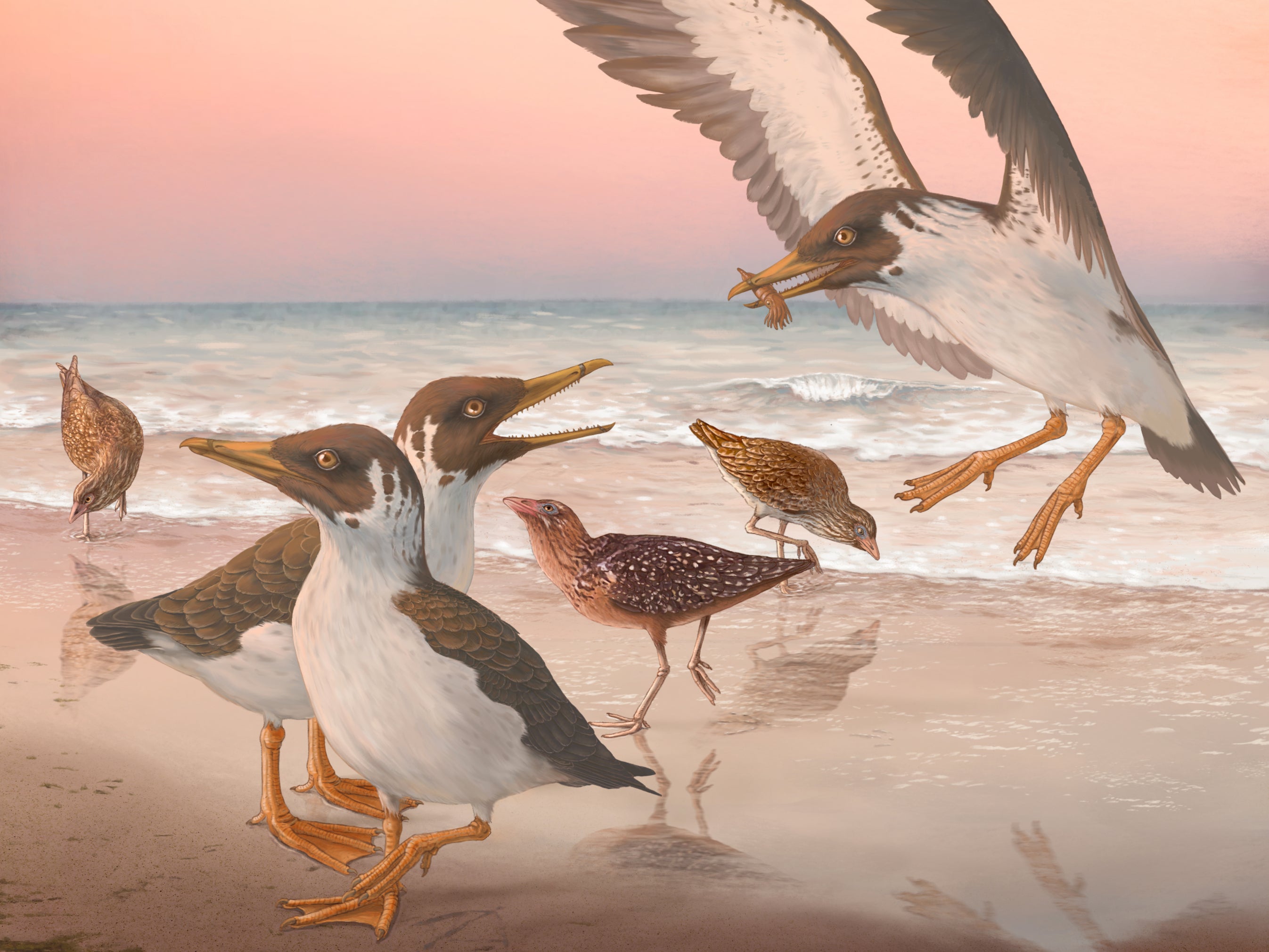 Artist’s reconstruction of the last known toothed bird, Janavis finalidens, in its original environment