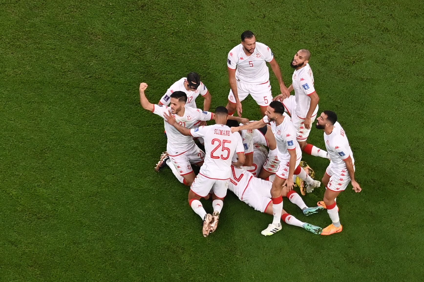 Tunisia celebrate their goal against France