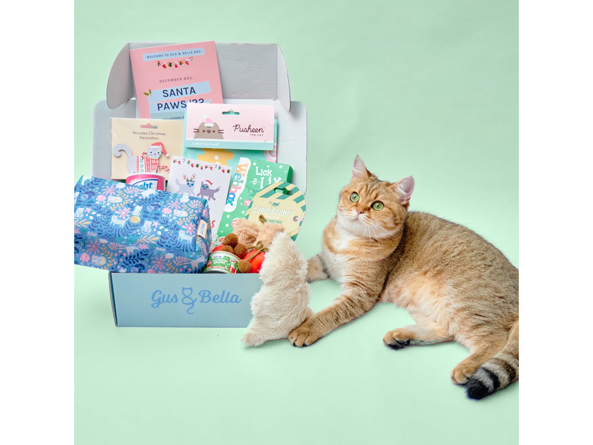 Gus & Bella one-off cat gift box 