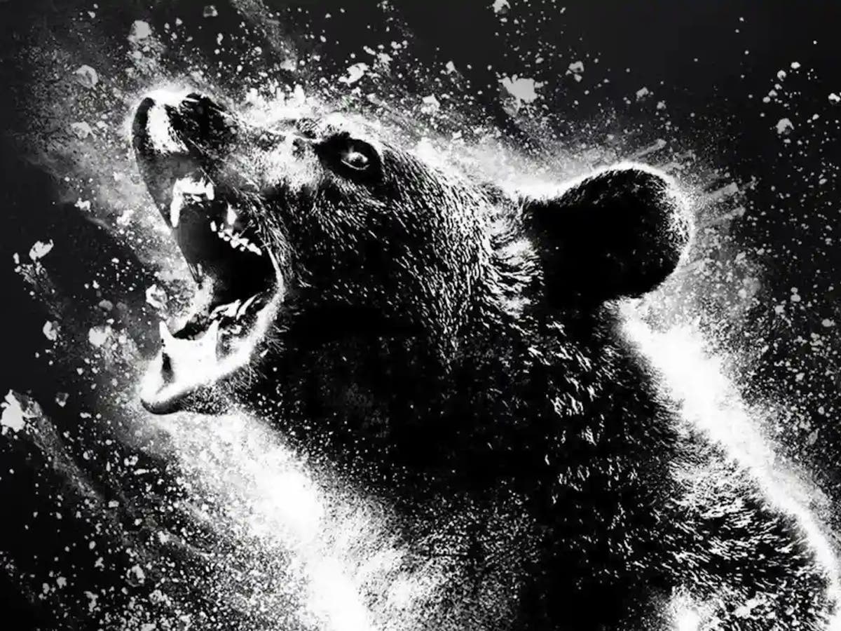 Cocaine Bear: First trailer for &lsquo;insane&rsquo; horror-comedy based on true story sparks flurry of memes