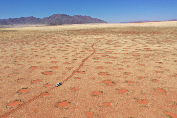 Drone image of car driving through the NamibRand Nature Reserve, one of the fairy-circle regions in Namibia where the researchers undertook grass excavations, soil-moisture and infiltration measurements