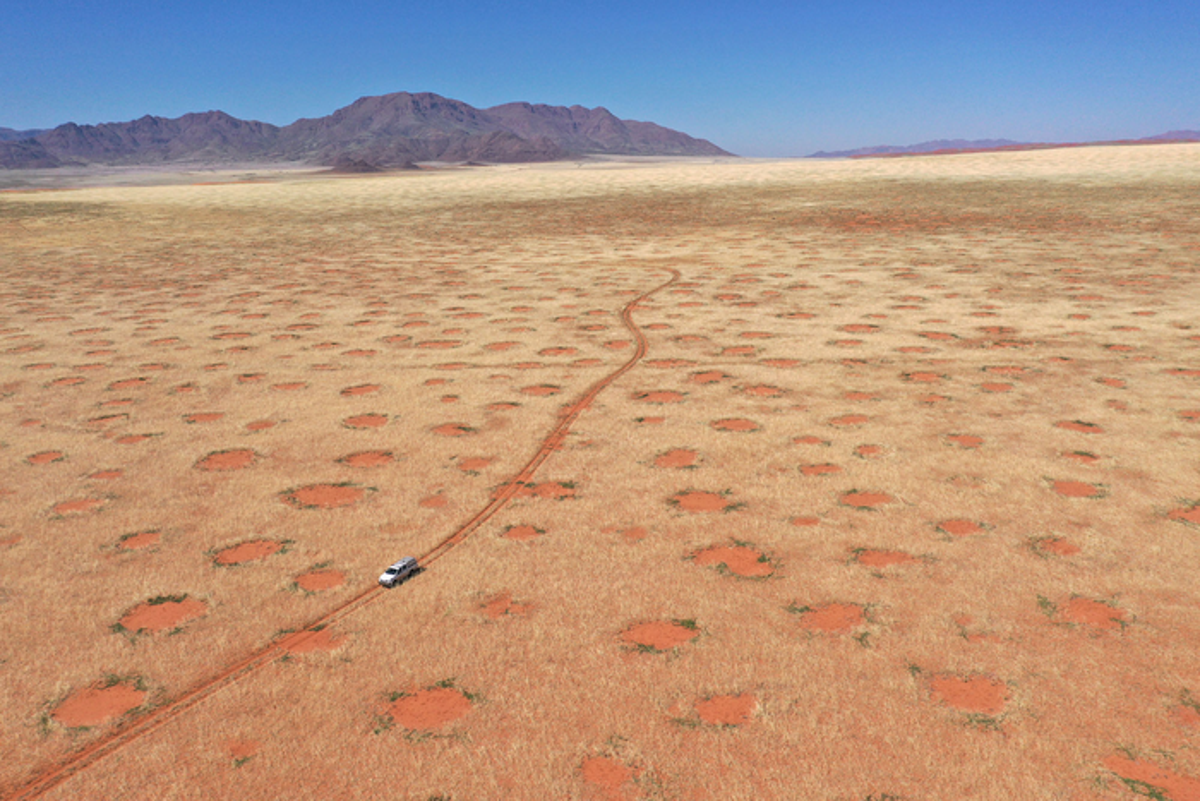 Scientists finally crack mystery behind Namibia’s strange fairy circles