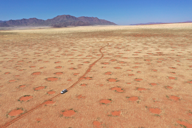 <p>Drone image of car driving through the NamibRand Nature Reserve, one of the fairy-circle regions in Namibia where the researchers undertook grass excavations, soil-moisture and infiltration measurements</p>