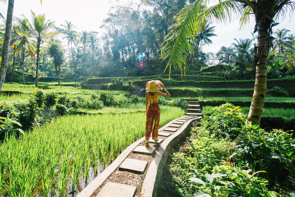 Bali has wild rural landscapes, as well as pristine beaches