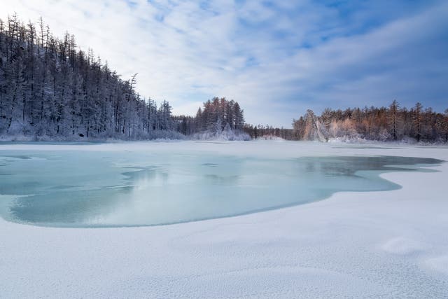 <p>A frozen lake in Yakutia in northeastern Russia was apparently home to one virus </p>