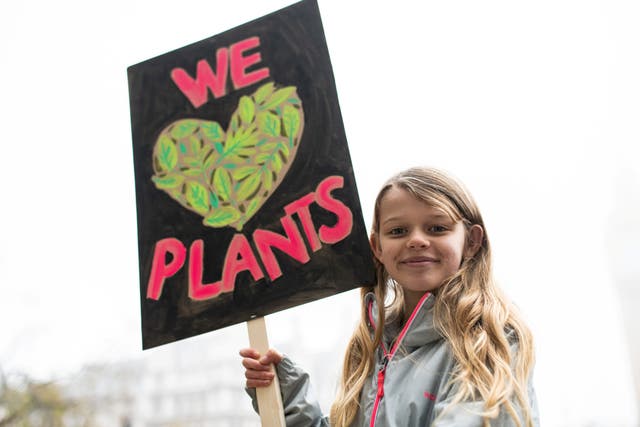 <p>Young people have strong views on environmental issues, research suggests</p>