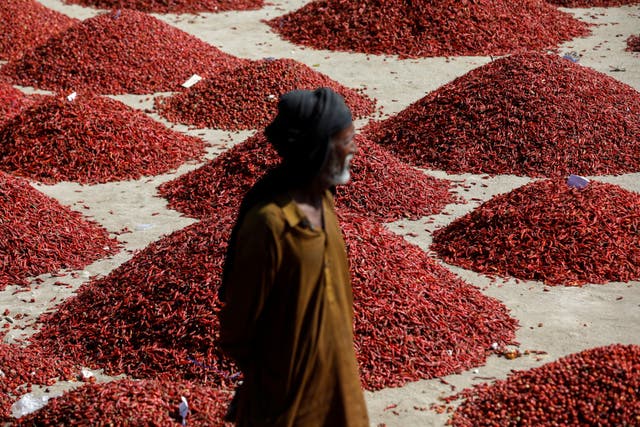 <p>A man stands in front of mounds of red chilli pepper, at the Mirch Mandi wholesale market, in Kunri, Umerkot, Pakistan</p>