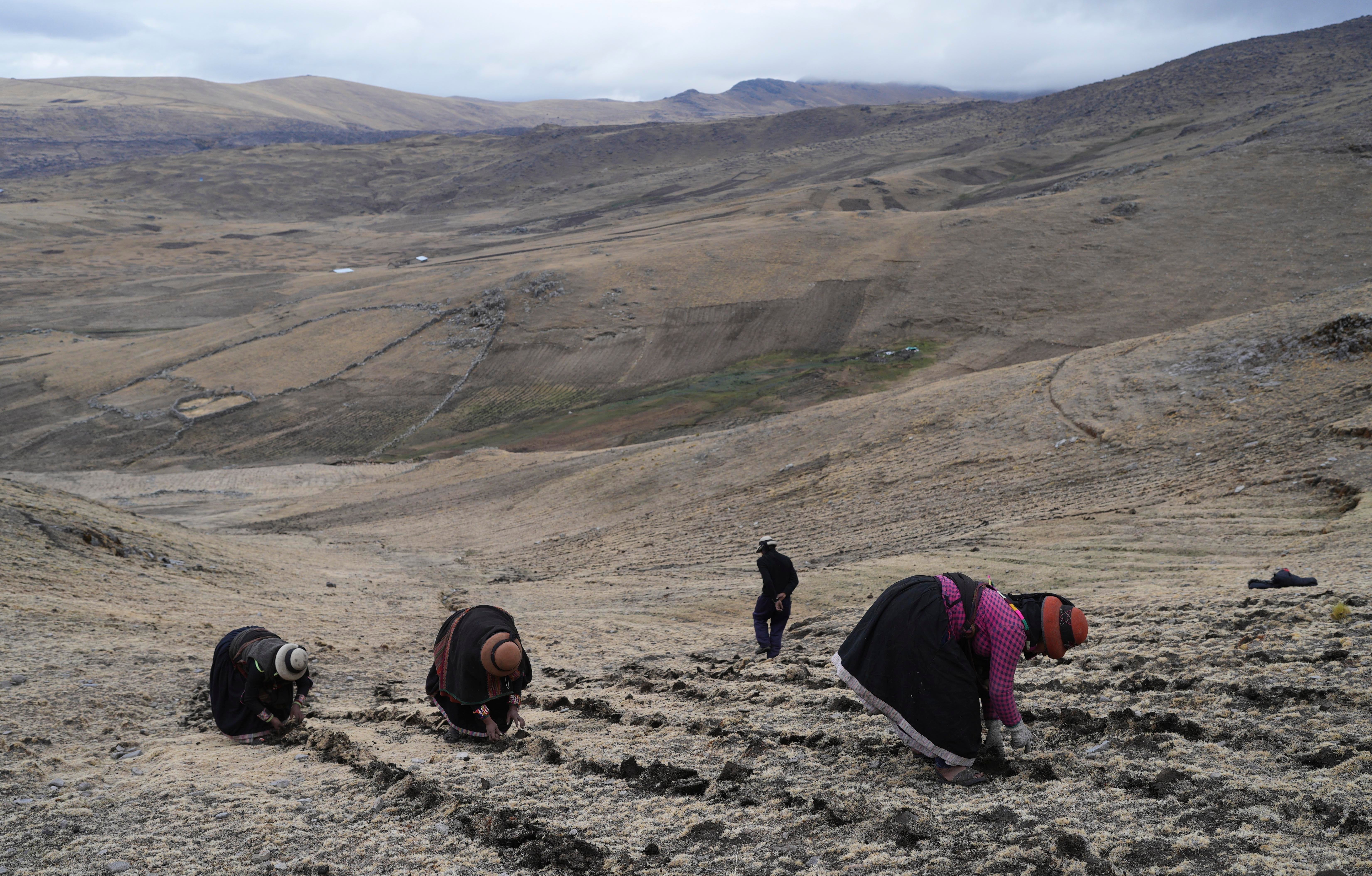 Peru Dry Andean Lagoon