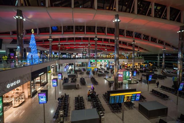 <p>An illuminated Christmas tree displayed in a quiet Terminal Two at Heathrow</p>