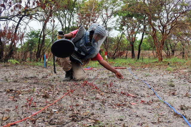 <p>A MAG deminer in Angola searches for unexploded ordinance </p>