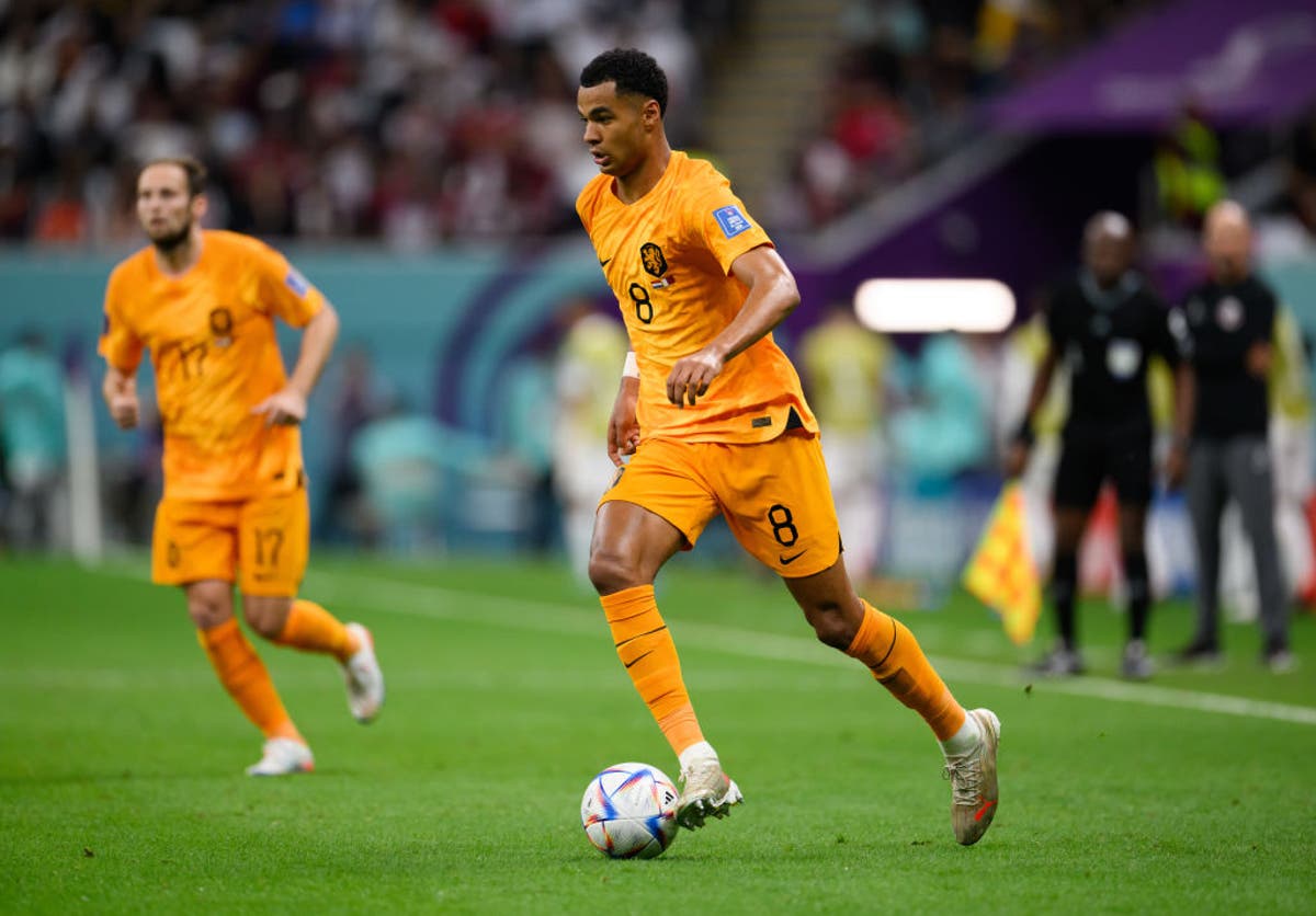 Netherlands vs USA live stream: Where to watch World Cup 2022 fixture online and on TV