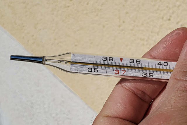 A thermometer (Alamy/PA)