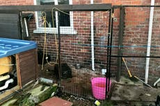 Pet owner dumped dead dog in wheelie bin in ‘one of worst starvation cases’ RSPCA has seen