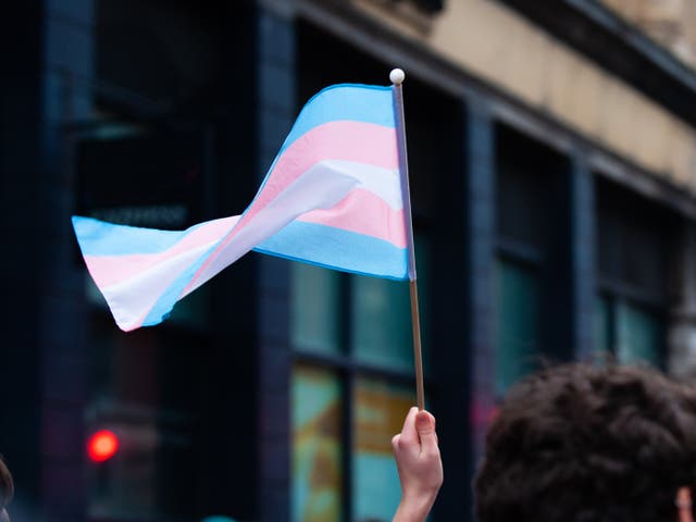 <p>Campaigners warned they are hearing reports of abusers wielding transgender identity as an excuse to perpetrate violence and abuse</p>
