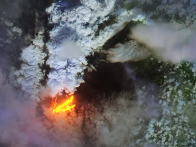 <p>This image from a European Space Agency satellite shows the Mauna Loa eruption on 28 November</p>