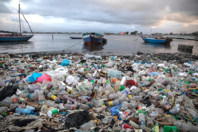 PLÁSTICO-CONTAMINACIÓN-TRATADO