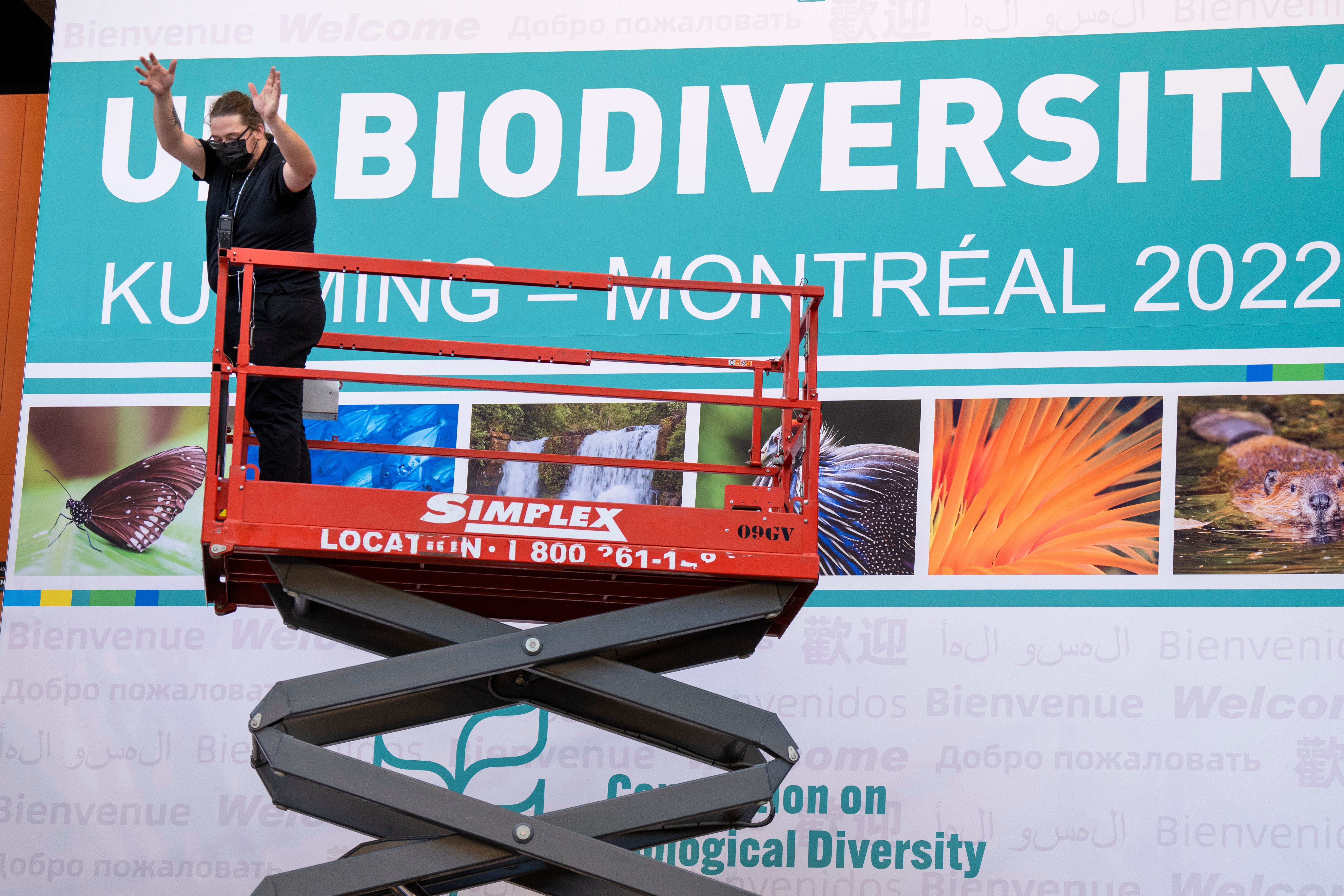 Workers set up the Montreal Convention Centre in preparation for the Cop15 UN conference on biodiversity in Montreal (Paul Chiasson/The Canadian Press via AP)